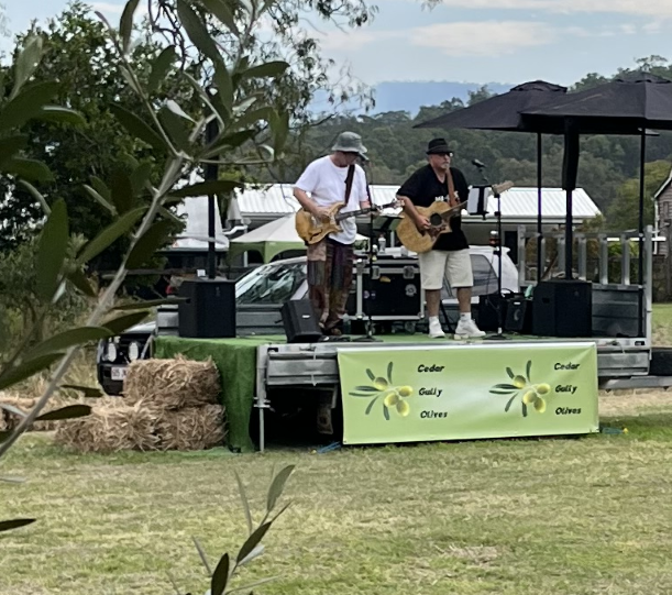 Two musicians playing guitar