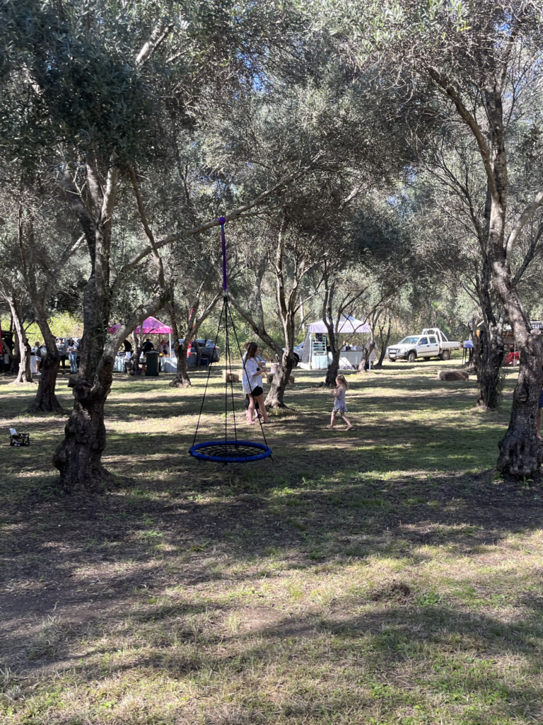 People walking under the olive trees