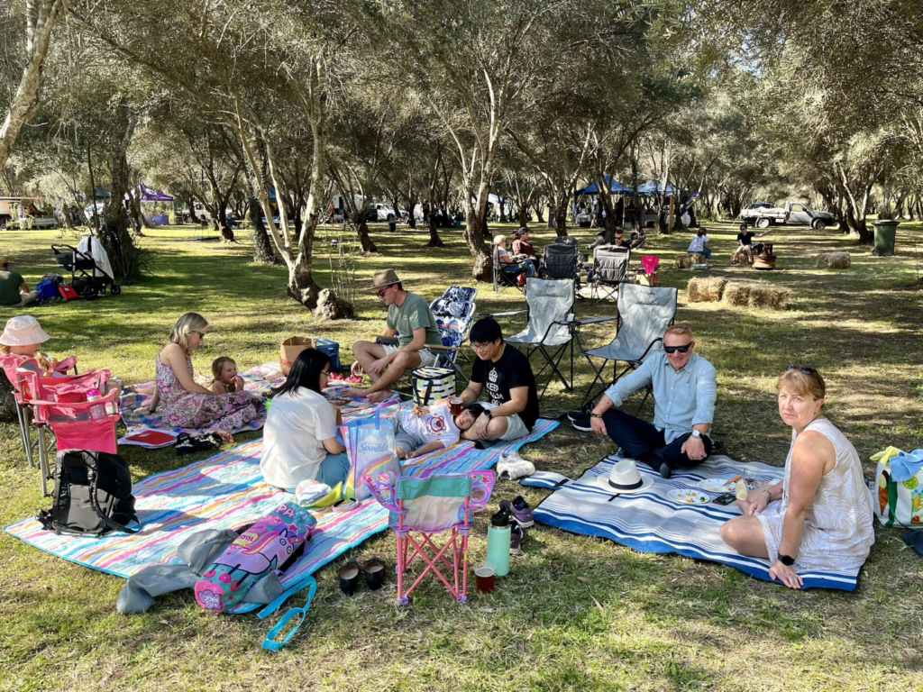 People on picnic blankets relaxing under olive trees