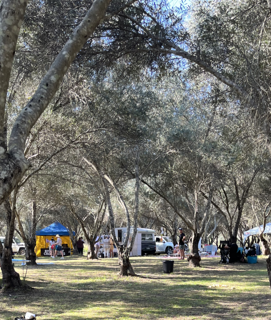 Market stalls under the trees